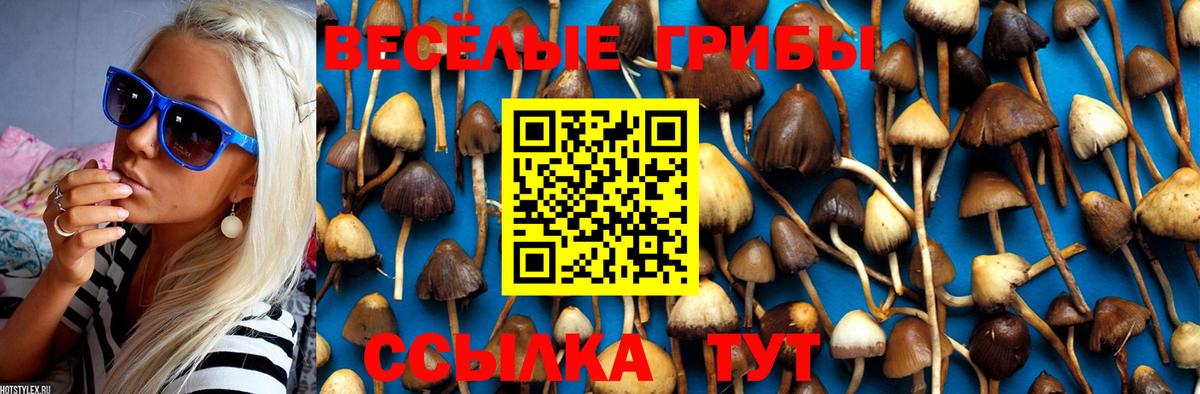 Чистополь  Галлюциногенные грибы Psilocybe  Вход с VPN  Псилоцибиновые грибы прущие грибы 